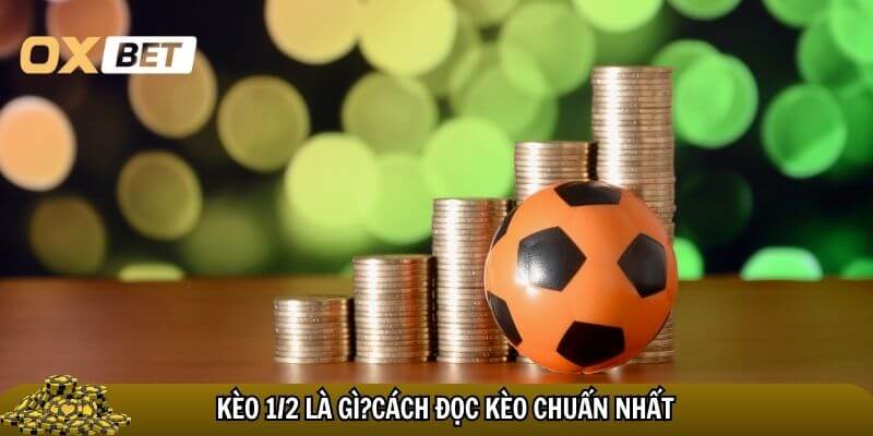 Cách đọc kèo cược 1/2 chuẩn nhất
