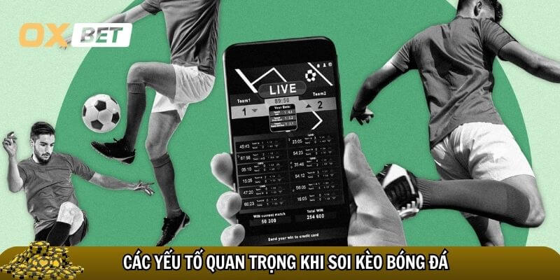 Những yếu tố quan trọng khi soi kèo bóng đá