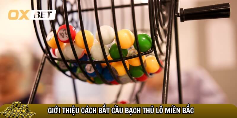 Tìm hiểu cách bắt cầu bạch thủ lô miền Bắc 
