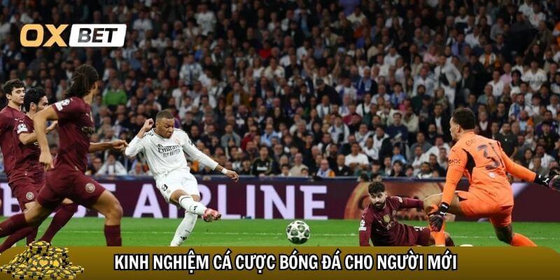 Kinh nghiệm cá cược bóng đá cho người mới