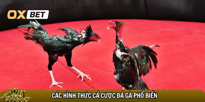 Những hình thức cá cược đá gà trực tuyến  phổ biến